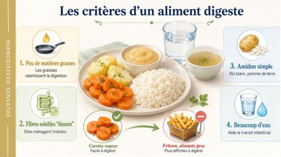 Critères des aliments faciles à digérer  peu de matières grasses, fibres solubles, amidon simple et hydratation - Herboristerie Sensathé